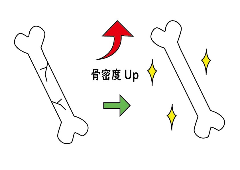 骨密度を上げるために自分でできること