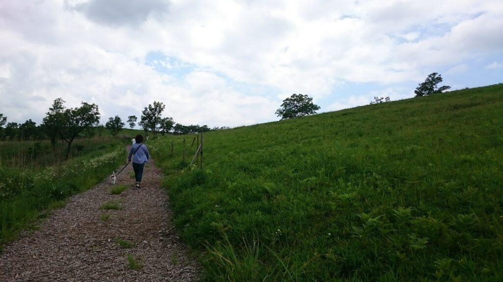 階段の上り下りと坂道の昇り降りの運動効果の違い